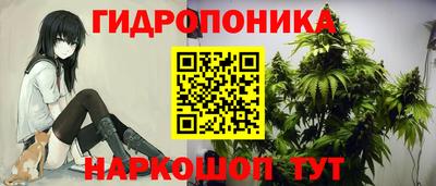 скорость mdpv Гатчина